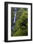 Munson Creek Falls near Tillamook, Oregon, USA-Chuck Haney-Framed Photographic Print