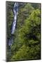 Munson Creek Falls near Tillamook, Oregon, USA-Chuck Haney-Mounted Photographic Print