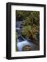 Munson Creek Falls State Natural Site in autumn near Tillamook, Oregon, USA-Chuck Haney-Framed Photographic Print