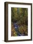 Munson Creek Falls State Natural Site in autumn near Tillamook, Oregon, USA-Chuck Haney-Framed Photographic Print