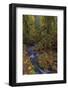 Munson Creek Falls State Natural Site in autumn near Tillamook, Oregon, USA-Chuck Haney-Framed Photographic Print