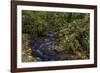 Munson Creek Falls State Natural Site in autumn near Tillamook, Oregon, USA-Chuck Haney-Framed Photographic Print