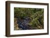 Munson Creek Falls State Natural Site in autumn near Tillamook, Oregon, USA-Chuck Haney-Framed Photographic Print