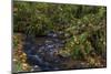 Munson Creek Falls State Natural Site in autumn near Tillamook, Oregon, USA-Chuck Haney-Mounted Photographic Print