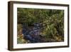 Munson Creek Falls State Natural Site in autumn near Tillamook, Oregon, USA-Chuck Haney-Framed Photographic Print