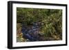 Munson Creek Falls State Natural Site in autumn near Tillamook, Oregon, USA-Chuck Haney-Framed Photographic Print