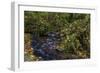 Munson Creek Falls State Natural Site in autumn near Tillamook, Oregon, USA-Chuck Haney-Framed Photographic Print