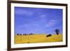 Munstermaifeld - Germany-Hartmut Junker-Framed Photographic Print