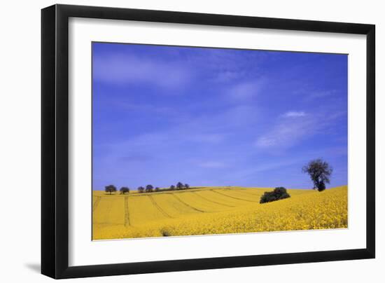 Munstermaifeld - Germany-Hartmut Junker-Framed Photographic Print