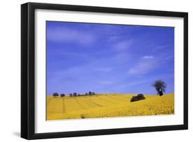 Munstermaifeld - Germany-Hartmut Junker-Framed Photographic Print