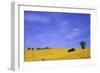 Munstermaifeld - Germany-Hartmut Junker-Framed Photographic Print