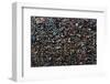 Mural Made of Used Chewing Gums, Bubblegum Alley, San Luis Obispo County, California, USA-null-Framed Photographic Print