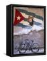 Mural of Camilo Cienfuergos on Wall Above a Bicycle, Havana, Cuba, West Indies, Central America-Lee Frost-Framed Stretched Canvas