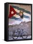 Mural of Camilo Cienfuergos on Wall Above a Bicycle, Havana, Cuba, West Indies, Central America-Lee Frost-Framed Stretched Canvas