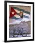 Mural of Camilo Cienfuergos on Wall Above a Bicycle, Havana, Cuba, West Indies, Central America-Lee Frost-Framed Photographic Print