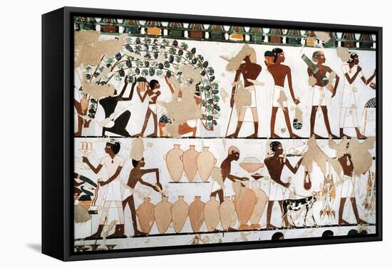 Mural Painting Depicting Scene of Grape Picking and Wine Production, from New Kingdom-null-Framed Stretched Canvas