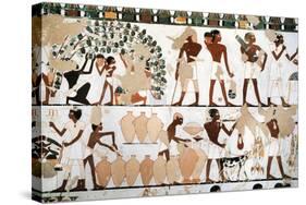 Mural Painting Depicting Scene of Grape Picking and Wine Production, from New Kingdom-null-Stretched Canvas