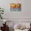 Mural Paintings-Bruno Morandi-Photographic Print displayed on a wall