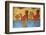 Mural Paintings-Bruno Morandi-Framed Photographic Print