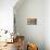 Mural Paintings-Bruno Morandi-Mounted Photographic Print displayed on a wall