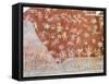 Murals, Teotihuacan, 150Ad to 600Ad and Later Used by the Aztecs, North of Mexico City-R H Productions-Framed Stretched Canvas