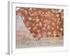 Murals, Teotihuacan, 150Ad to 600Ad and Later Used by the Aztecs, North of Mexico City-R H Productions-Framed Photographic Print