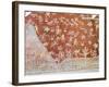 Murals, Teotihuacan, 150Ad to 600Ad and Later Used by the Aztecs, North of Mexico City-R H Productions-Framed Photographic Print