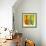 Murano Glass II-Patricia Pinto-Framed Art Print displayed on a wall