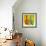 Murano Glass II-Patricia Pinto-Framed Art Print displayed on a wall