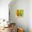 Murano Glass II-Patricia Pinto-Premium Giclee Print displayed on a wall