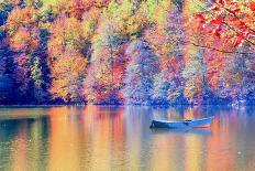 Venetian Gondolier Punting Gondola through Green Canal Waters of Venice Italy-muratart-Photographic Print