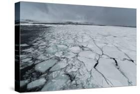 Murchison Bay, Murchisonfjorden, Nordaustlandet, Svalbard Islands, Norway.-Sergio Pitamitz-Stretched Canvas
