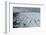 Murchison Bay, Murchisonfjorden, Nordaustlandet, Svalbard Islands, Norway.-Sergio Pitamitz-Framed Photographic Print