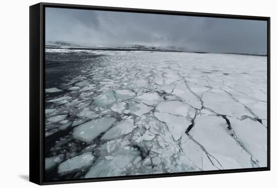 Murchison Bay, Murchisonfjorden, Nordaustlandet, Svalbard Islands, Norway.-Sergio Pitamitz-Framed Stretched Canvas