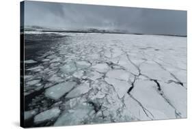 Murchison Bay, Murchisonfjorden, Nordaustlandet, Svalbard Islands, Norway.-Sergio Pitamitz-Stretched Canvas