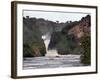 Murchison Falls, Murchison National Park, Uganda, East Africa, Africa-Andrew Mcconnell-Framed Photographic Print