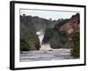 Murchison Falls, Murchison National Park, Uganda, East Africa, Africa-Andrew Mcconnell-Framed Photographic Print