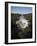 Murchison Falls, Murchison National Park, Uganda, East Africa, Africa-Andrew Mcconnell-Framed Photographic Print