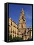 Murcia Cathedral, Murcia, Spain, Europe-Miller John-Framed Stretched Canvas
