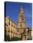 Murcia Cathedral, Murcia, Spain, Europe-Miller John-Stretched Canvas