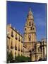 Murcia Cathedral, Murcia, Spain, Europe-Miller John-Mounted Photographic Print