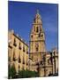 Murcia Cathedral, Murcia, Spain, Europe-Miller John-Mounted Photographic Print