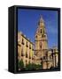 Murcia Cathedral, Murcia, Spain, Europe-Miller John-Framed Stretched Canvas