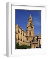 Murcia Cathedral, Murcia, Spain, Europe-Miller John-Framed Photographic Print