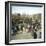 Murcia (Espagne), the Pig Market During a Fair, Circa 1885-1890-Leon, Levy et Fils-Framed Premium Photographic Print