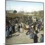 Murcia (Espagne), the Pig Market During a Fair, Circa 1885-1890-Leon, Levy et Fils-Mounted Premium Photographic Print