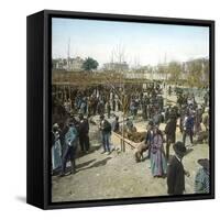 Murcia (Espagne), the Pig Market During a Fair, Circa 1885-1890-Leon, Levy et Fils-Framed Stretched Canvas