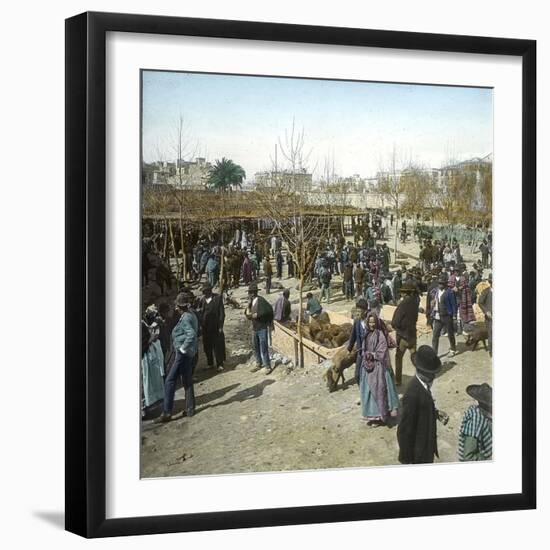Murcia (Espagne), the Pig Market During a Fair, Circa 1885-1890-Leon, Levy et Fils-Framed Photographic Print
