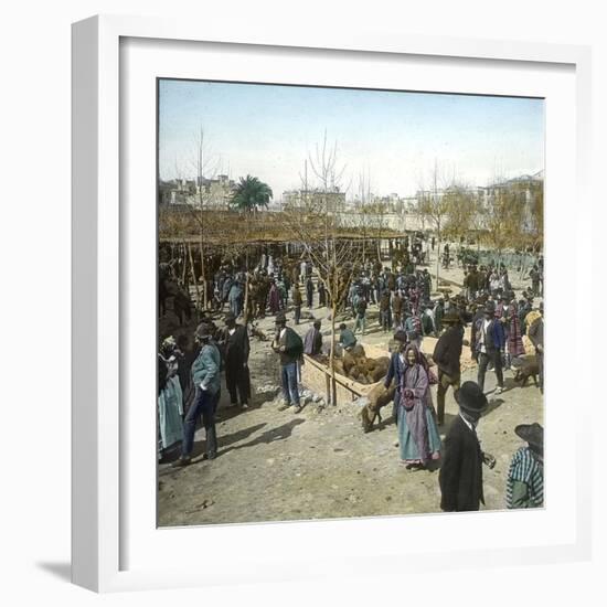 Murcia (Espagne), the Pig Market During a Fair, Circa 1885-1890-Leon, Levy et Fils-Framed Photographic Print