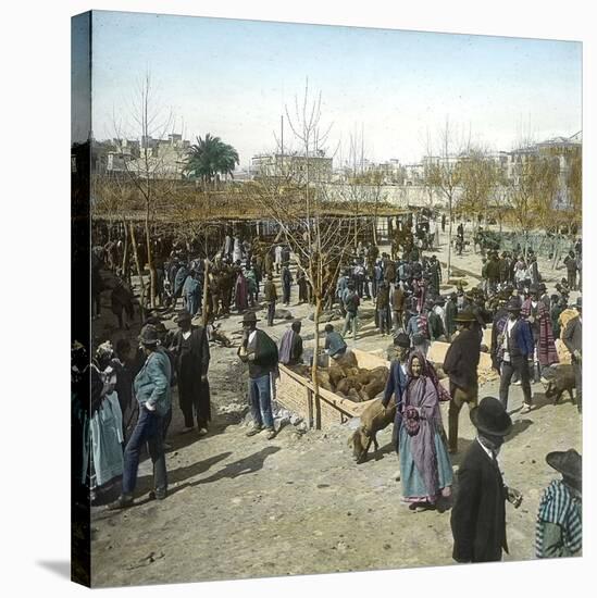 Murcia (Espagne), the Pig Market During a Fair, Circa 1885-1890-Leon, Levy et Fils-Stretched Canvas